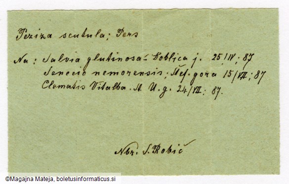Peziza scutula