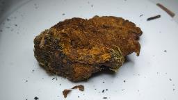 Xanthoporia radiata