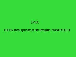 Resupinatus striatulus