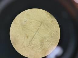 Faerberia carbonaria