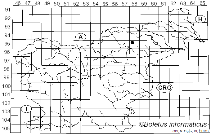 <i>Peziza vladimirii</i> (Vacek) Svrcek (1981)