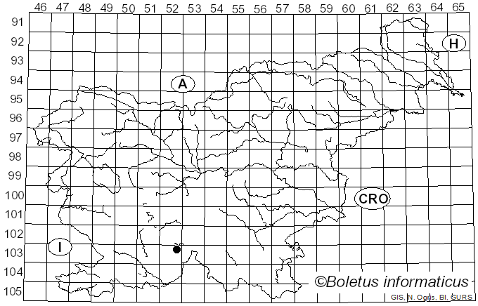 <i>Hygrophorus velutinus</i> I.G. Borshch.