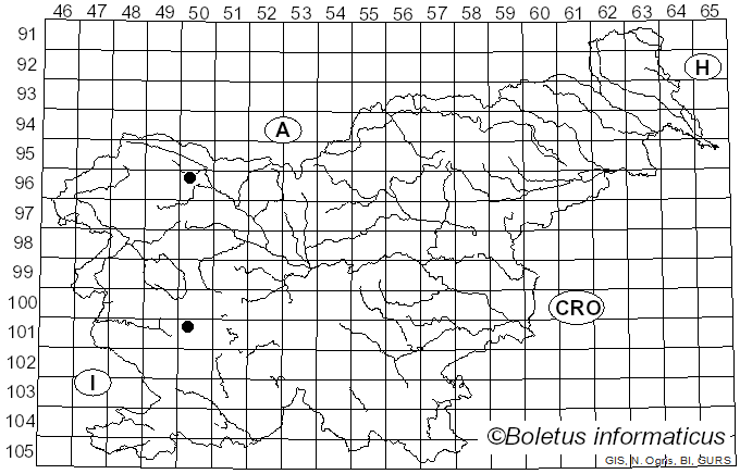 <i>Lachnum rubi</i> (Bres.) Raitv. (1985)