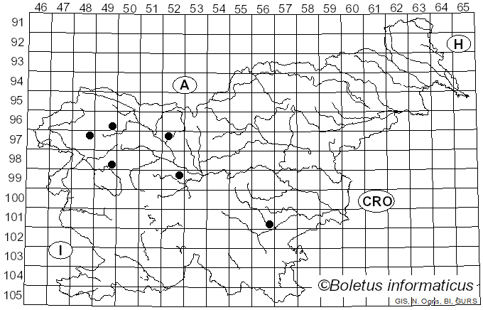 <i>Clavulinopsis fusiformis</i> (Sowerby) Corner (1967)