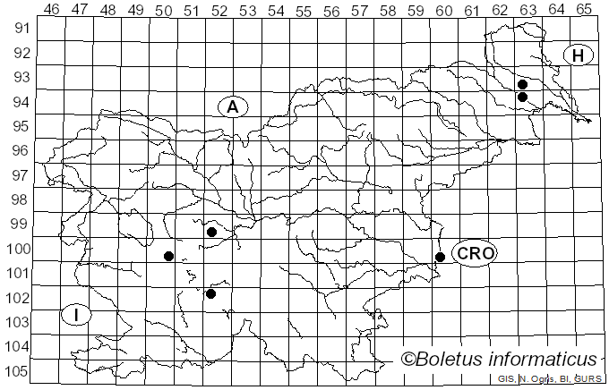 <i>Eristalinus</i>