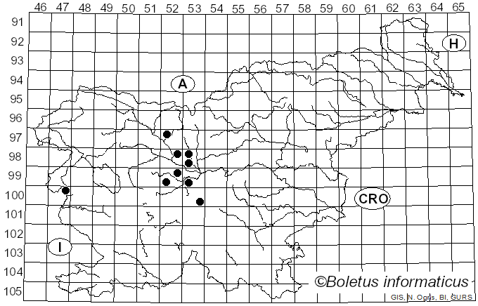 <i>Tricholoma resplendens</i> (Fr.) P. Karst. (1876)