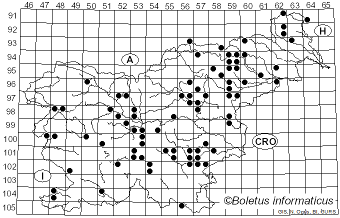 <i>Lactarius serifluus</i> (DC.) Fr. (1838)