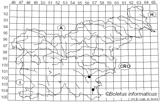 <i>Nidularia deformis</i> (Willd.) Fr. (1817)