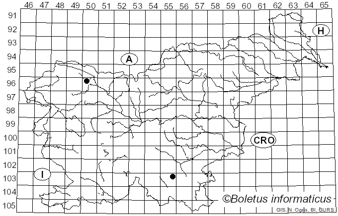 <i>Clavulicium macounii</i> (Burt) J. Erikss. & Boidin ex Parmasto (1968)