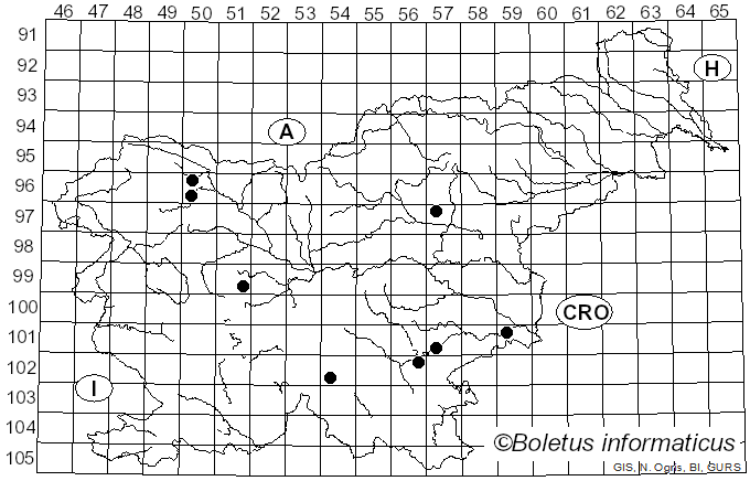 <i>Agrocybe arvalis</i> (Fr.) Singer (1936)