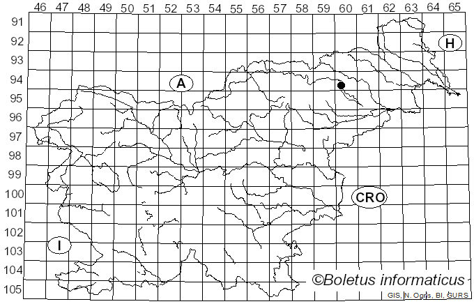 <i>Pseudosperma flavellum</i> (P. Karst.) Matheny & Esteve-Rav. (2019)
