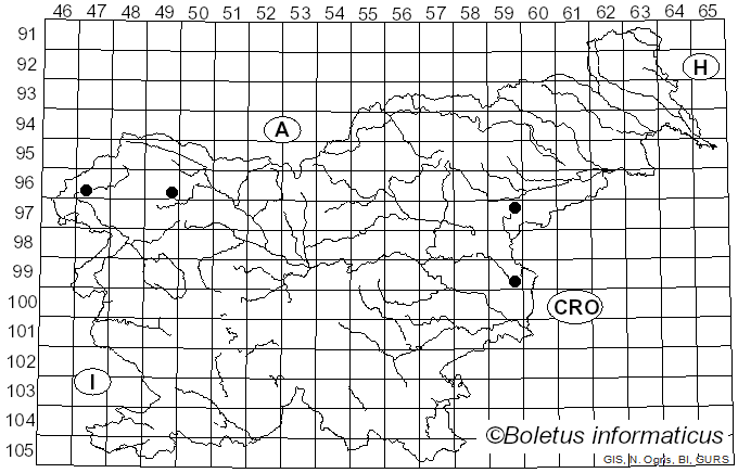 <i>Galerina vittiformis</i> (Fr.) Singer (1950)