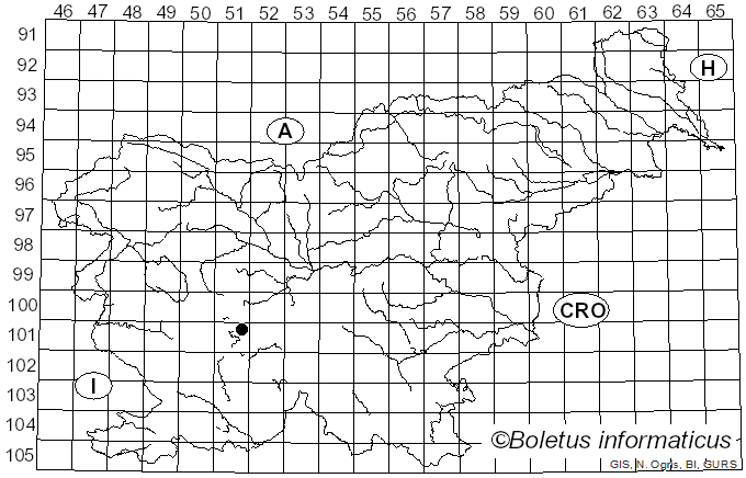 <i>Cheilosia psilophthalma</i> Becker
