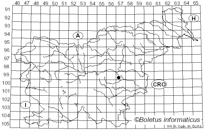 <i>Perenniporia narymica</i> (Pilát) Pouzar (1984)