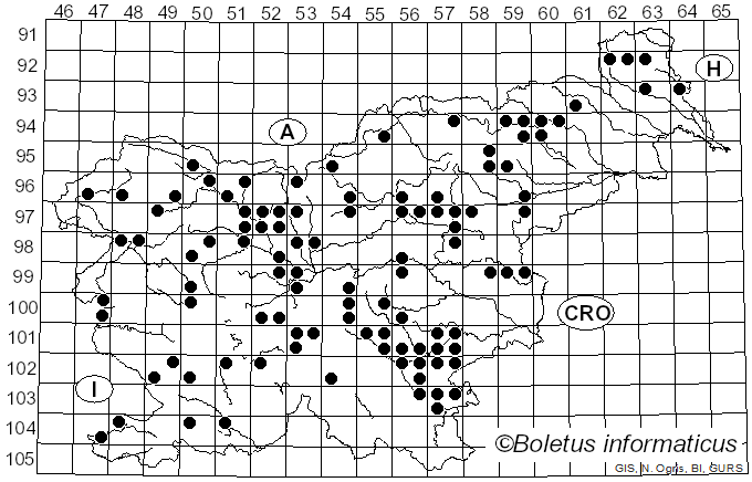 <i>Clavaria</i> Vaill. ex L. (1753)