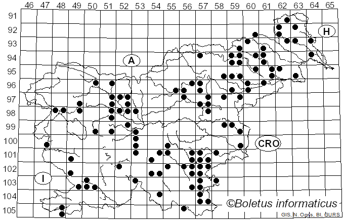 <i>Fomitiporia robusta</i> (P. Karst.) Fiasson & Niemelä (1984)