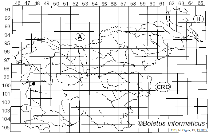 <i>Spilocaea pyracanthae</i> (G.H. Otth) Arx (1957)