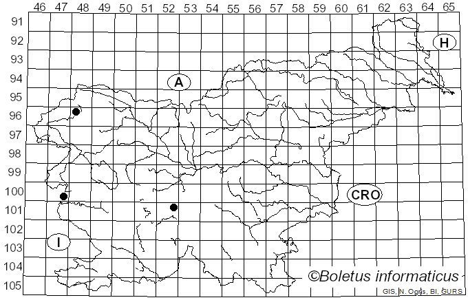 <i>Abies alba</i> Miller