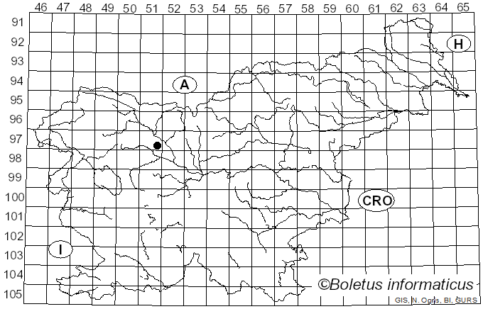 <i>Anomoporia kamtschatica</i> (Parmasto) Bondartseva (1972)