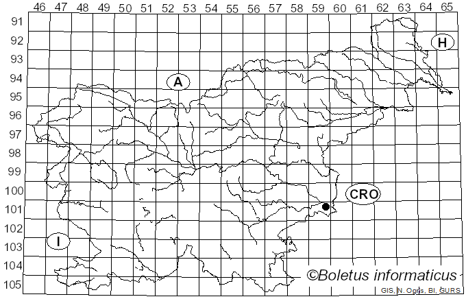 <i>Coprinellus pallidissimus</i> (Romagn.) P. Roux, Guy García & S. Roux (2006)