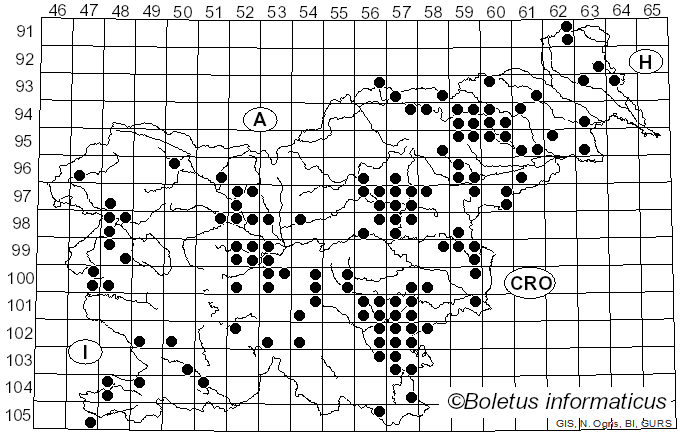 <i>Meripilus giganteus</i> (Pers.) P. Karst. (1882)