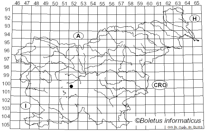 <i>Lecanora muralis</i> (Schreb.) Rabenh. (1845)