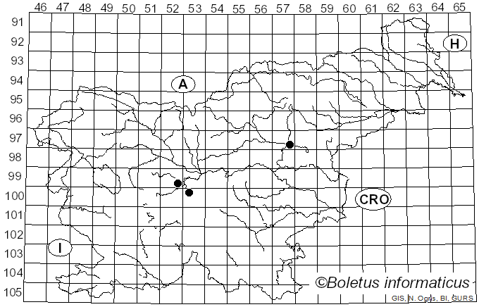 <i>Mycosphaerella punctiformis</i> (Pers.) Starbäck (1889)