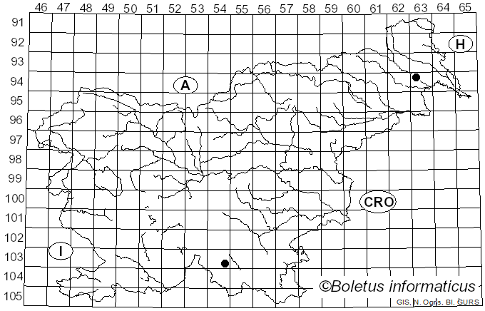 <i>Maireina</i> W.B. Cooke (1961)