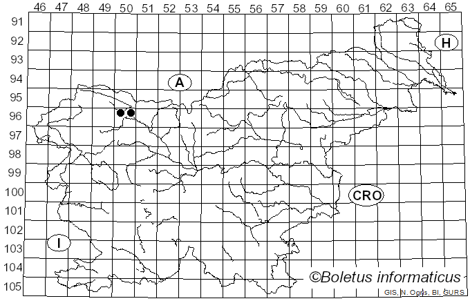 <i>Vararia</i> P. Karst. (1898)