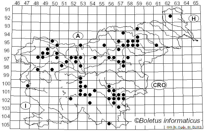 <i>Albatrellus subrubescens</i> (Murrill) Pouzar (1972)