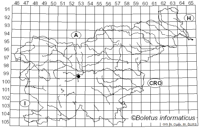 <i>Coccomyces leptideus</i> (Fr.) B. Erikss. (1970)