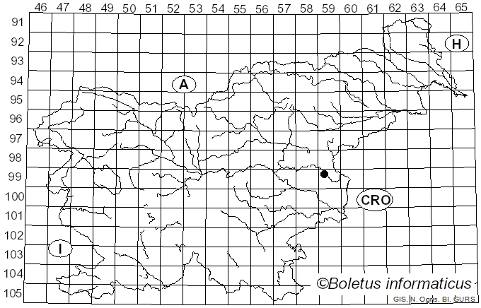 <i>Inocybe phaeoleuca</i> Kühner (1955)