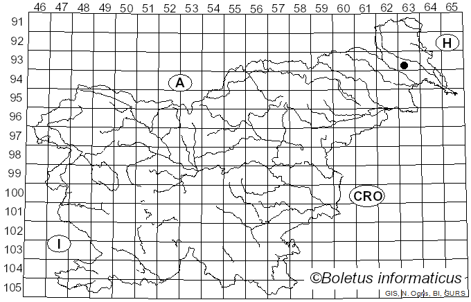 <i>Bryoscyphus dicrani</i> (Ade & Höhn.) Spooner (1984)
