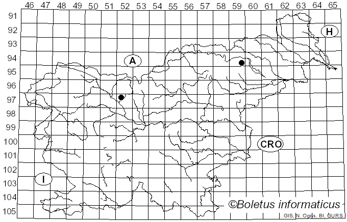 <i>Clitocybe dryadicola</i> (J. Favre) Harmaja (1976)