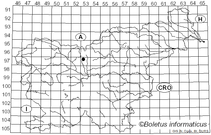<i>Tranzschelia discolor</i> (Fuckel) Tranzschel & M.A. Litv. (1939)