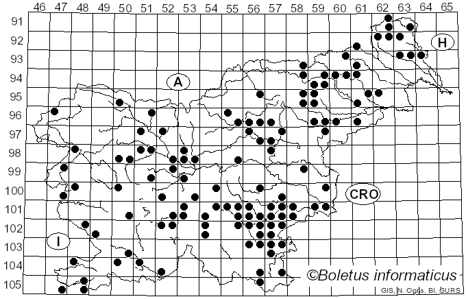 <i>Lactarius circellatus</i> (Battarra) Fr. (1838)