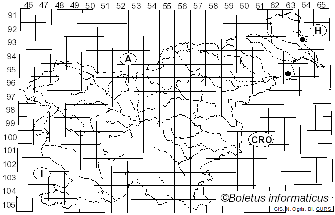 <i>Hypomyces microspermus</i> Rogerson & Samuels (1989)