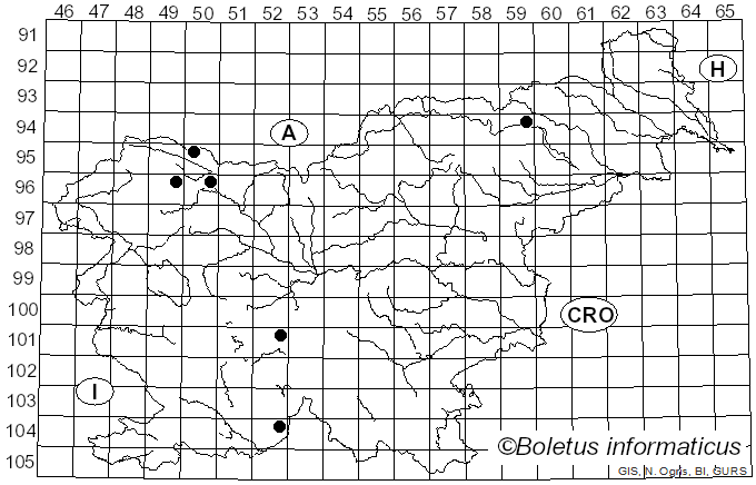 <i>Clitopilus scyphoides</i> (Fr.) Singer (1946)