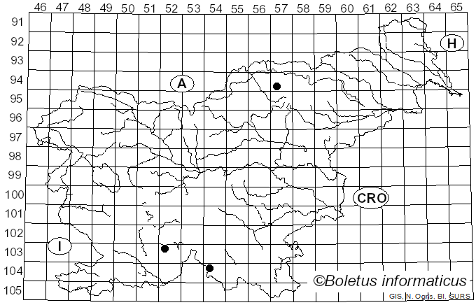 <i>Abrothallus</i> De Not. (1845)