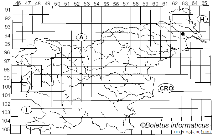 <i>Tympanopsis confertula</i> (Schwein.) Lar.N. Vassiljeva (1998)