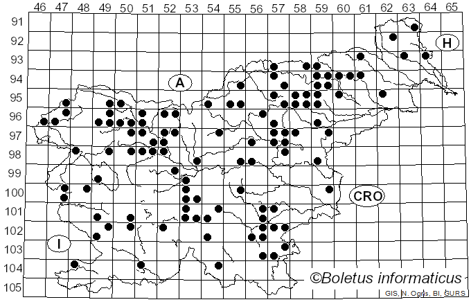 <i>Cortinarius camphoratus</i> (Fr.) Fr. (1838)