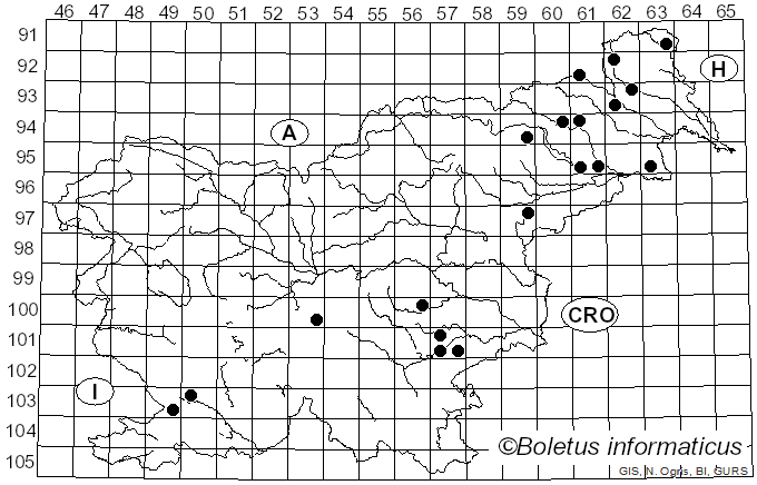 <i>Metuloidea</i> G. Cunn. (1965)