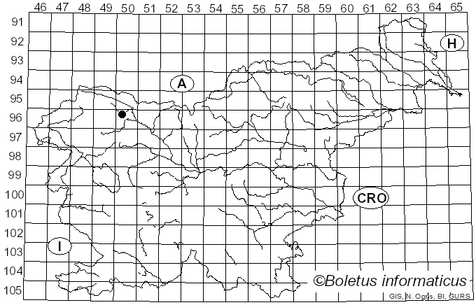 <i>Tricholomella</i> Zerova ex Kalamees (1992)