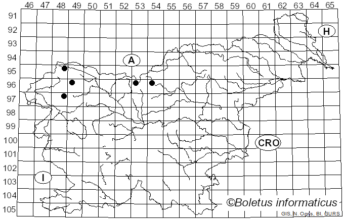 <i>Cheilosia praecox</i> Zetterstedt (1843)