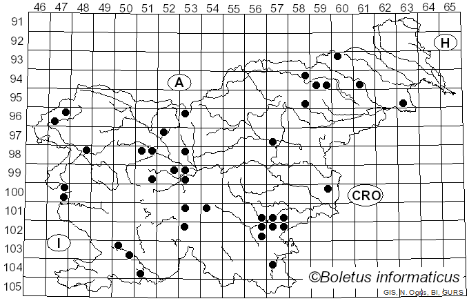 <i>Inosperma cookei</i> (Bres.) Matheny & Esteve-Rav. (2019)