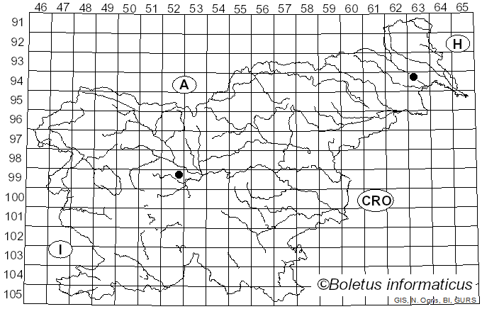 <i>Cryptosporella suffusa</i> (Fr.) L.C. Mejía & Castl. (2008)