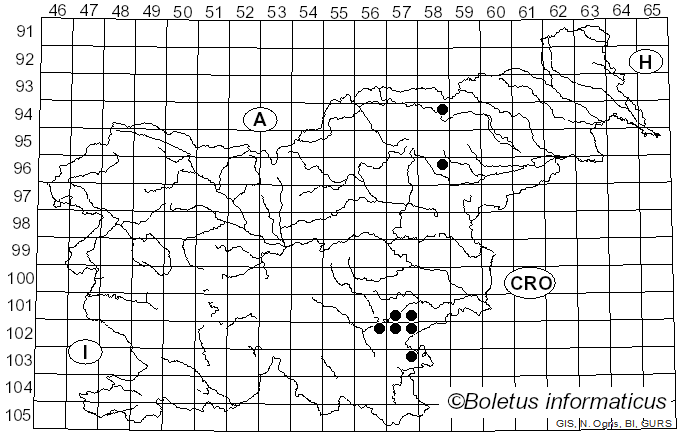 <i>Paragalactinia</i> Van Vooren (2020)