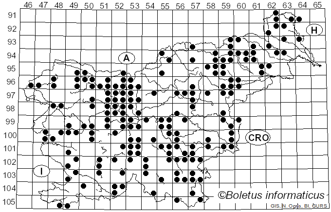 <i>Lycogala</i> Pers. (1794)