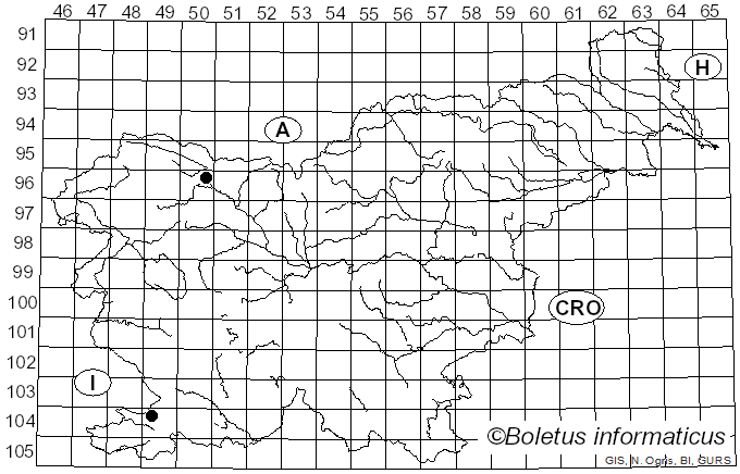 <i>Trichobelonium</i> (Sacc.) Rehm (1891)
