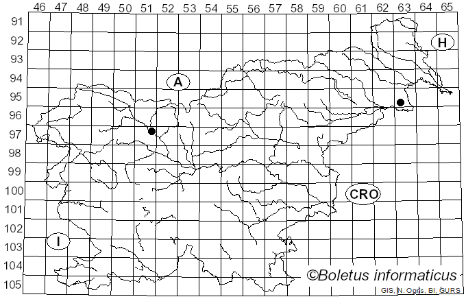 <i>Botryobasidium simile</i> Pouzar & Hol.-Jech. (1969)